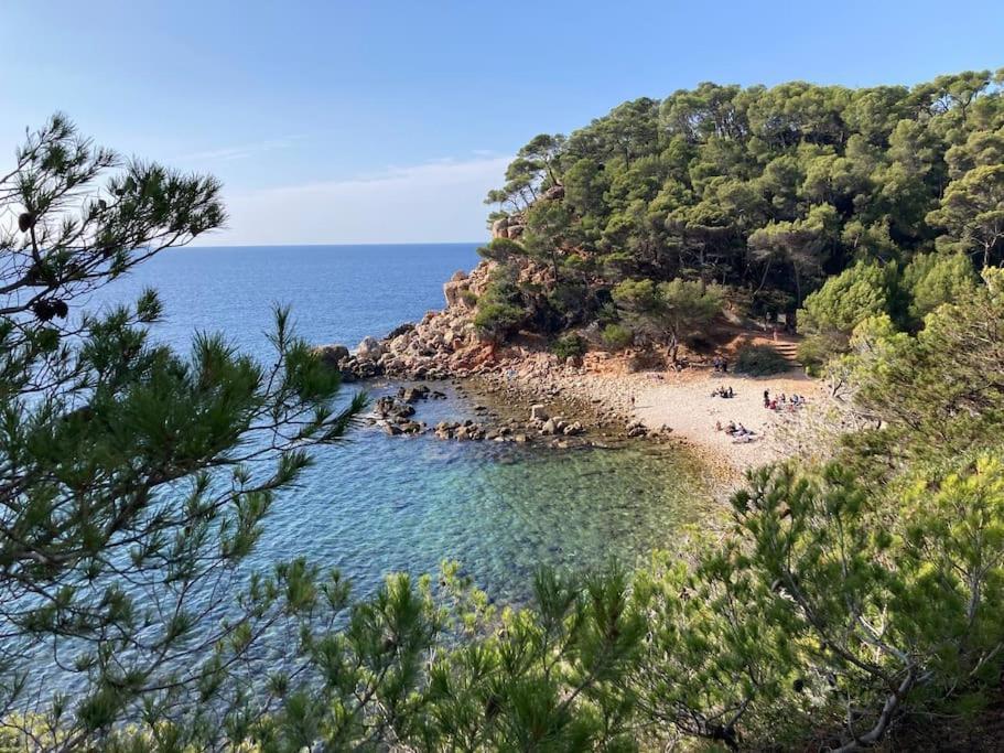 Bandol Roc Beach Vue Mer Grand T3 Face A La Plage Avec Parking Buitenkant foto